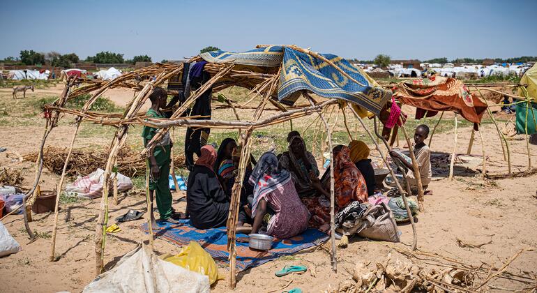 苏丹的冲突迫使数百万人逃离家园。